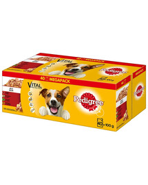 PEDIGREE Multipack Adult à Gelée 40x100g