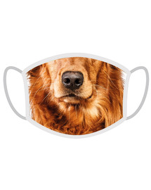 FERA Masque de protection pour Golden retriever