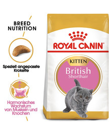 ROYAL CANIN British Shorthair Kitten 10 kg