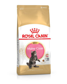 ROYAL CANIN Maine Coon Kitten 10 kg