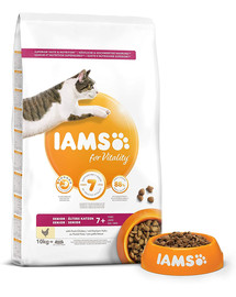 IAMS Cat Senior All Breeds Chicken 10 kg