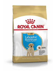 ROYAL CANIN Labrador retriever junior 12 kg