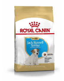 ROYAL CANIN Jack russell terrier junior 3 kg