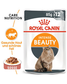 ROYAL CANIN Intense BEAUTY en sauce 85 g x 12