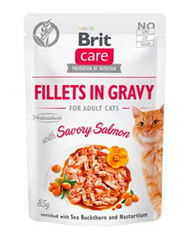 BRIT Care Cat Fillets in gravy savory salmon 85 g filety łososia w sosie