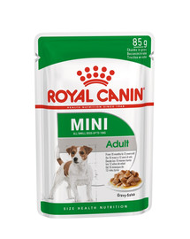ROYAL CANIN Mini adult 12x85 g
