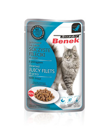 BENEK Super Filets en sauce aux truites 85 g