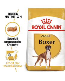 ROYAL CANIN Boxer Adult Aliments secs pour chiens boxer adultes 24 kg (2x12 kg)