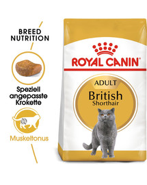 ROYAL CANIN British Shorthair - Nourriture complète pour les chats adultes British Shorthair - 2 x 10 kg