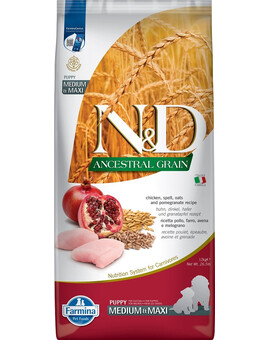 BAYER Drontal Dog Flavour dla psów 24 tabletki