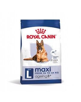 ROYAL CANIN Maxi ageing croquettes pour chiens adultes de plus de 8 ans, grandes races 8+ 15 kg