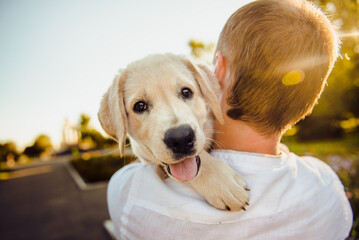 Comment éduquer correctement un chien pour qu'il devienne un bon compagnon ?