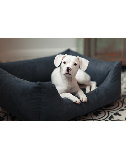 FERA Shine Canapé-lit pour chien M 80 x 60 x 25 cm