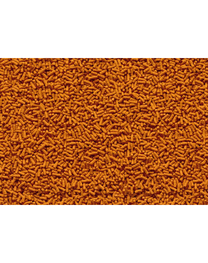 TETRA Pond Colour Sticks 10 L