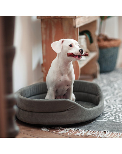 FERA Lit ovale pour chien 61x51x16 cm gris