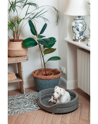 FERA Lit ovale pour chien 53x44x16 cm gris