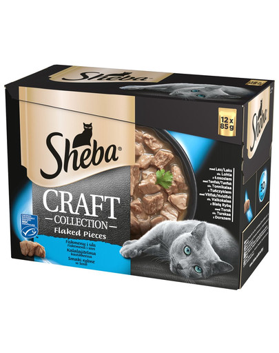 SHEBA Craft Collect 48x85g au saumon, au thon, au poisson blanc, à la morue en sauce