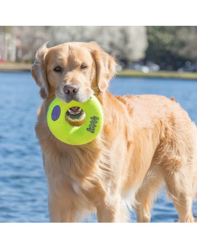 KONG AirDog Squeaker Donut medium 12 cm