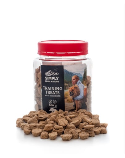 TRIXIE Lot de Jeu de Noël pour chien + friandises de dressage au sanglier 300 g