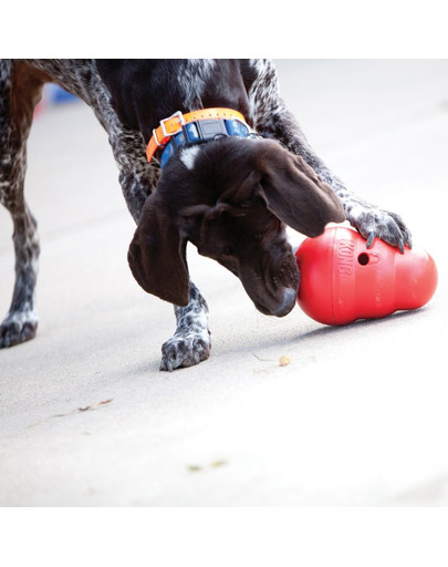 KONG Wobbler L