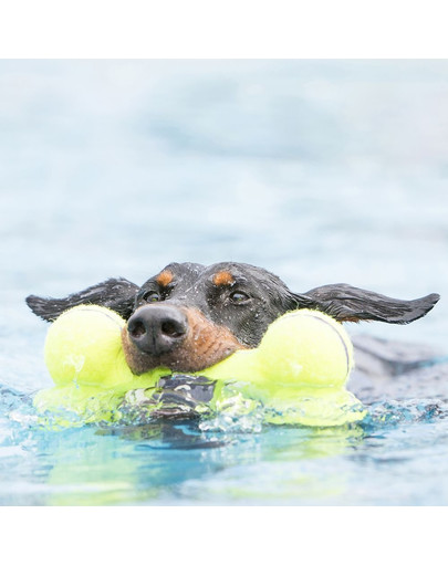 KONG AirDog Squeaker Bone small 11 cm