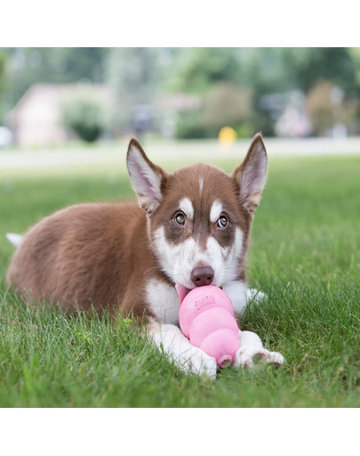 KONG Puppy large 105 mm