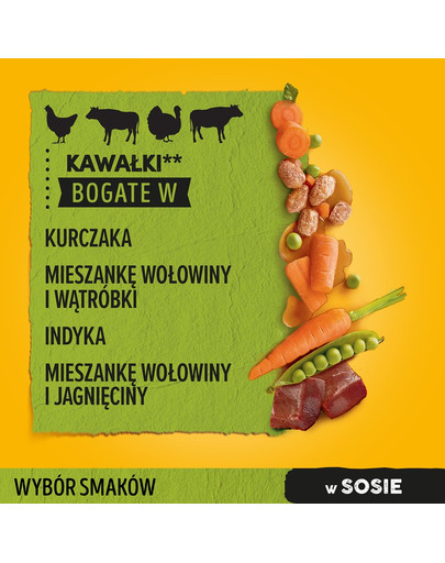 PEDIGREE Adult sachet 40x100g Mélange de saveurs en sauce poulet, bœuf, dinde, agneau avec légumes