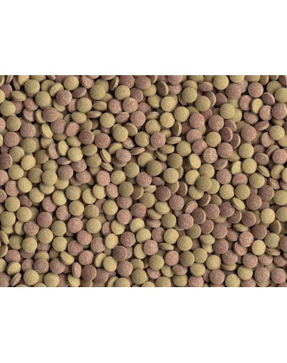 TETRA Tablets TabiMin 1040 comprimés de nourriture pour poissons de fond