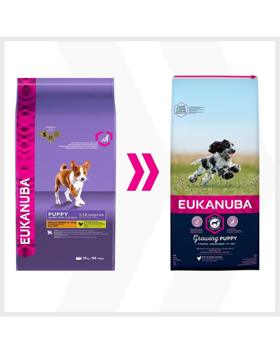 EUKANUBA Puppy Medium Breeds Chicken - pour chiots de race moyenne à base de poulet frais - 15 kg