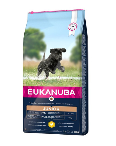 EUKANUBA Developing Junior Large Breed Chicken - croquettes pour chiens junior de grandes races Riches en poulet frais - 15kg