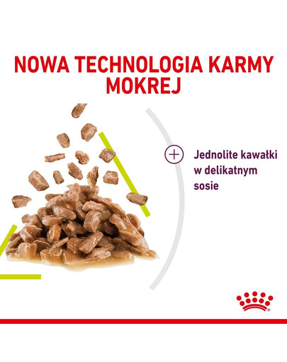 ROYAL CANIN Sensory smell gravy 12x85 g