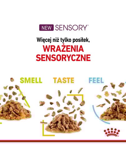 ROYAL CANIN Sensory Smell, Taste, Feel morceaux en sauce pour chats 12 x 85 g stimuler les sens