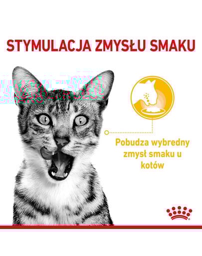 ROYAL CANIN Sensory Smell, Taste, Feel morceaux en sauce pour chats 12 x 85 g stimuler les sens