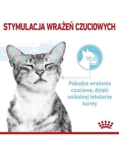 ROYAL CANIN Sensory Smell, Taste, Feel morceaux en sauce pour chats 12 x 85 g stimuler les sens