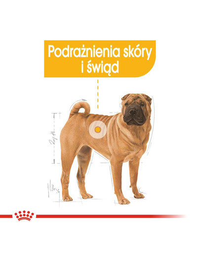 ROYAL CANIN Medium Dermacomfort 12 kg
