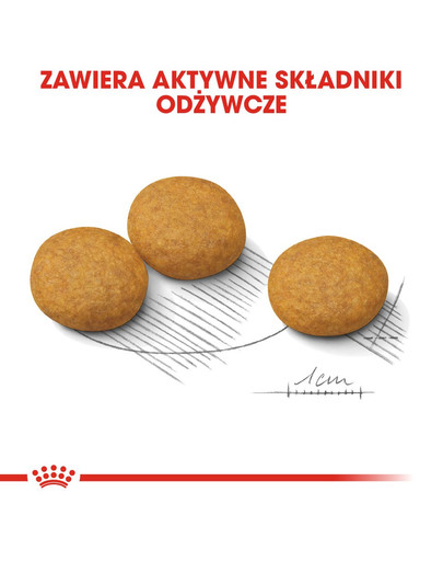 ROYAL CANIN Medium Dermacomfort 12 kg