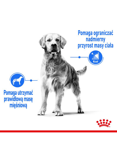 ROYAL CANIN CCN Medium Lightweight Care 12kg