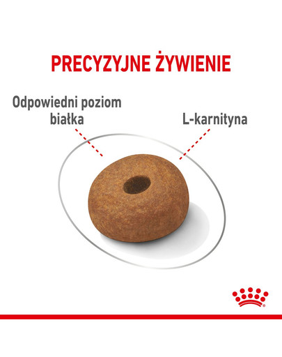 ROYAL CANIN CCN Medium Lightweight Care 12kg