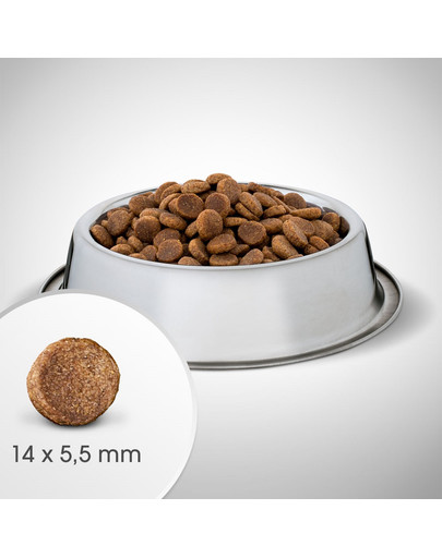 PERFECT FIT Ricco di pollo per cani adulti di taglia media e grande 6 kg