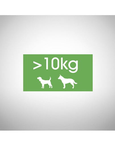PERFECT FIT Ricco di pollo per cani adulti di taglia media e grande 6 kg