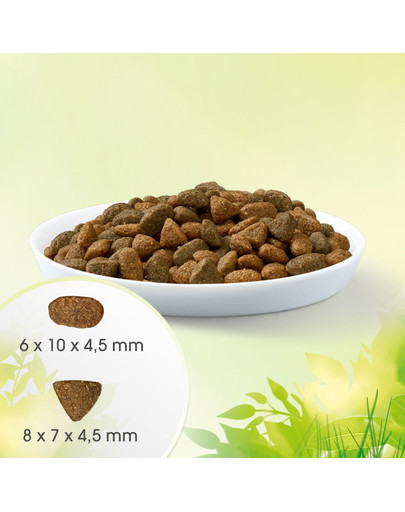 PERFECT FIT Natural Vitality avec du bœuf et du poulet pour chats adultes 2,4 kg