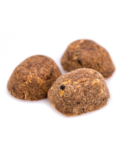 COUNTRY&NATURE Oceanic White Fish Recipe 300 g - Croquettes Poissons blancs de mer pour chiens de moyennes et grandes races
