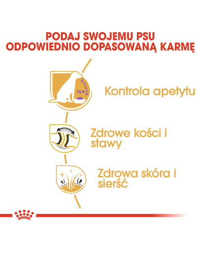 HAPPY DOG Mini Piemonte 4 kg + naturalne cygara z kaczką 7 szt.