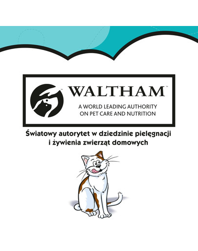 DREAMIES Cat con Salmone 6x60 g