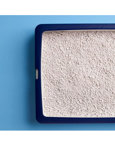 CATSAN Hygiene Plus 20l lettiera naturale per gatti
