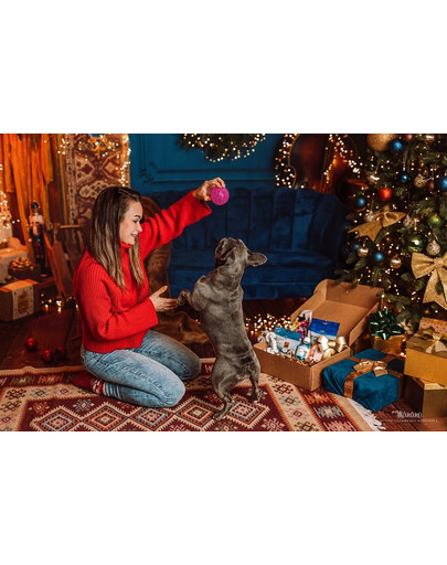 ZOLUX Set regalo di Natale per il vostro cane