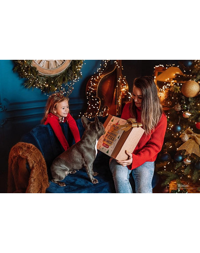 ZOLUX Set regalo di Natale per il vostro cane