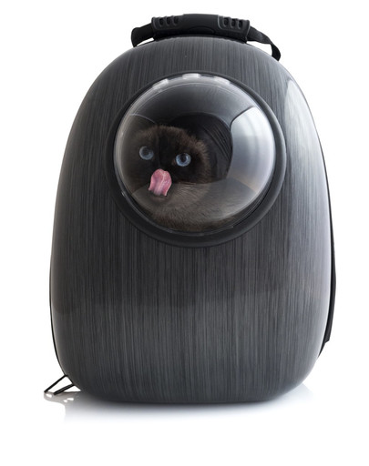 ROYAL CANIN Sensory Feel gravy 24x85 g bouchées en gelée pour chats adultes afin de stimuler la perception de la texture