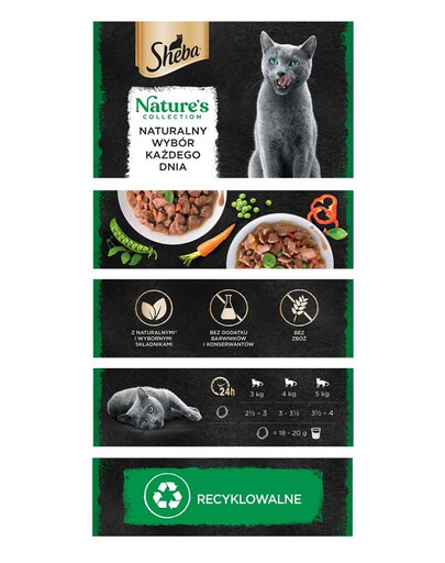 ROYAL CANIN Cat Renal 24 x 85 g nourriture humide pour les chats souffrant d'une maladie rénale
