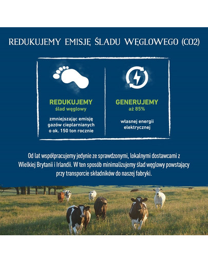 BUTCHER'S Original Junior aliments pour chiens au poulet, pâté, 150g